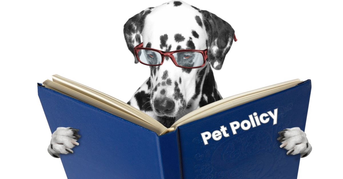 Pet policy for rental properties